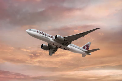 Qatar Airways Cargo Pharma Passive Flex Temp