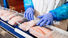 Food processing worker in blue gloves inspecting salmon fillets on a conveyor line