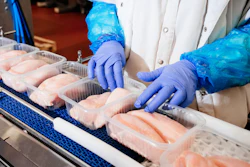 Food processing worker in blue gloves inspecting salmon fillets on a conveyor line