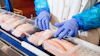 Food processing worker in blue gloves inspecting salmon fillets on a conveyor line