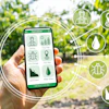 Hand holding smartphone displaying agriculture app with farming icons and crop management tools in field setting