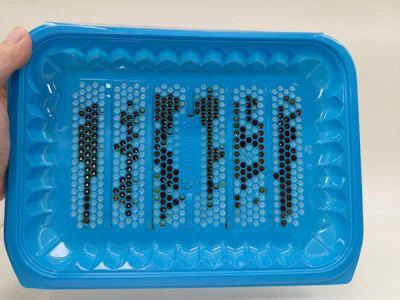 Blue bead organizer tray with sorted brown and clear beads arranged in vertical columns