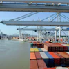 Port Of Savannah Mariusz Adobe Stock 282539762
