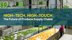 Modern produce processing facility with sorted green and yellow fruits on conveyor lines and worker in purple jacket overseeing operations