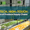 Modern produce processing facility with sorted green and yellow fruits on conveyor lines and worker in purple jacket overseeing operations