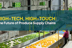Modern produce processing facility with sorted green and yellow fruits on conveyor lines and worker in purple jacket overseeing operations