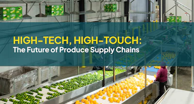 Modern produce processing facility with sorted green and yellow fruits on conveyor lines and worker in purple jacket overseeing operations